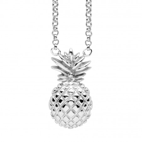 Přívěs Silvertrends ST1471