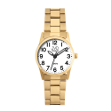 JVD J5037.3